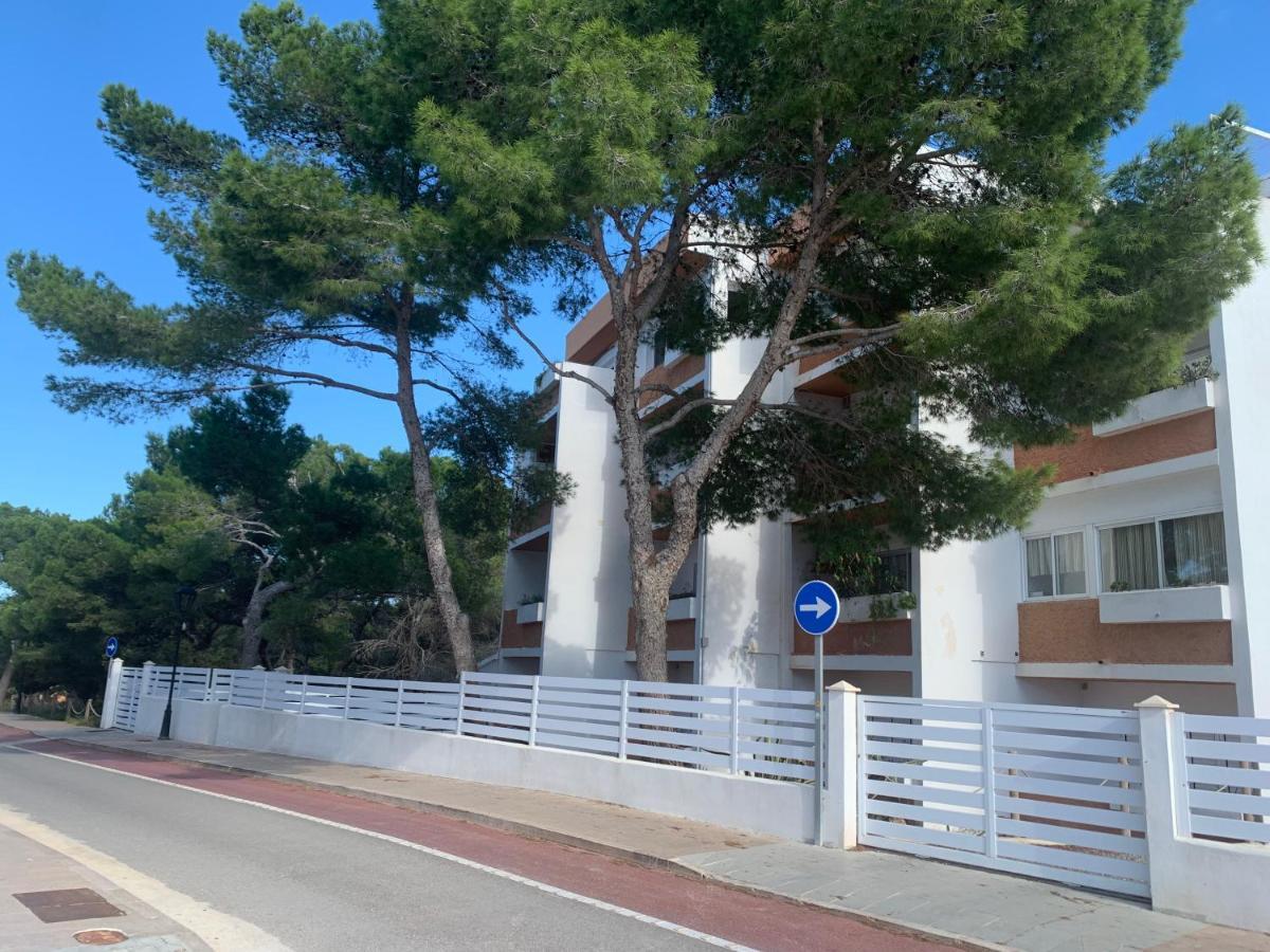 אס פוחולס Apartamentos Rex Con 2 Camere Da Letto מראה חיצוני תמונה