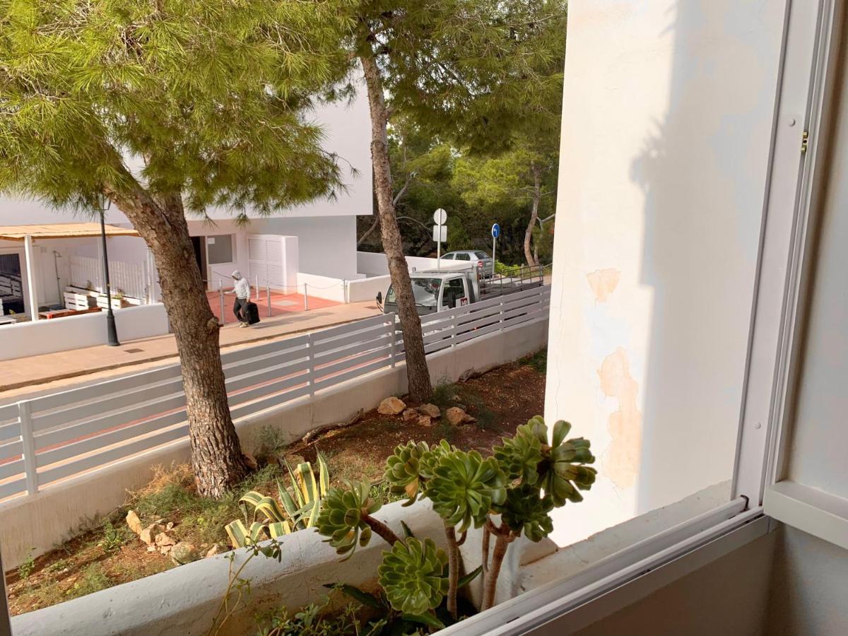 אס פוחולס Apartamentos Rex Con 2 Camere Da Letto מראה חיצוני תמונה