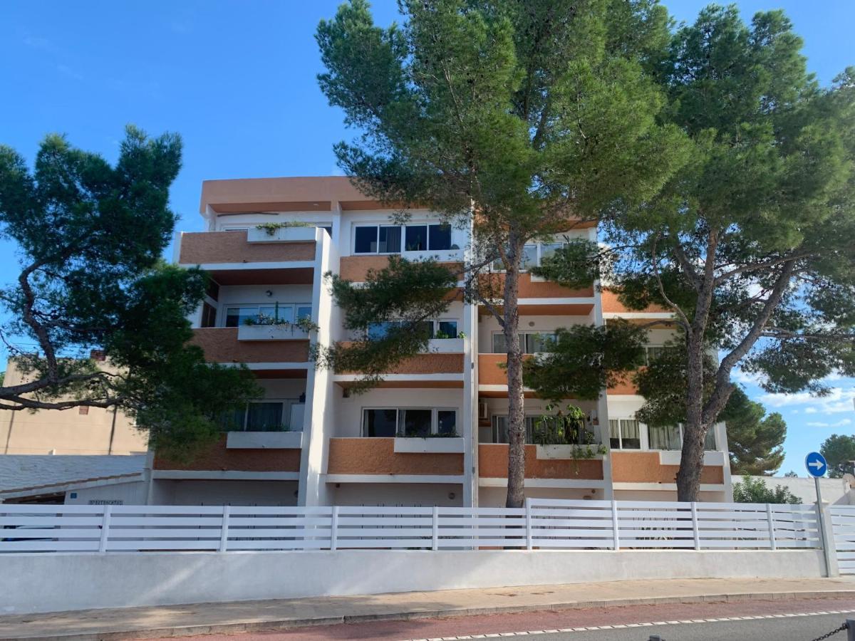 אס פוחולס Apartamentos Rex Con 2 Camere Da Letto מראה חיצוני תמונה